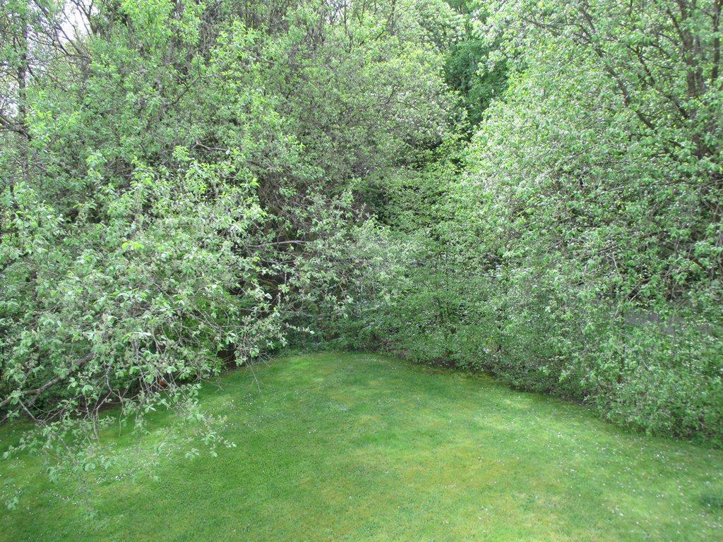 Ferienwohnung An Der Lay Bach  Экстерьер фото